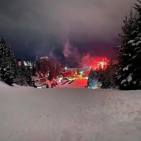 Teddy12-vlasic Vlasic