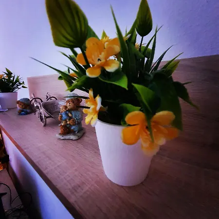 Teddy12-vlasic Apartament Vlašić
