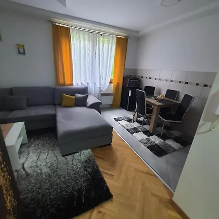 Teddy12-vlasic Vlasic