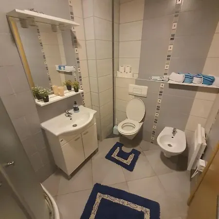 Teddy12-vlasic Vlasic