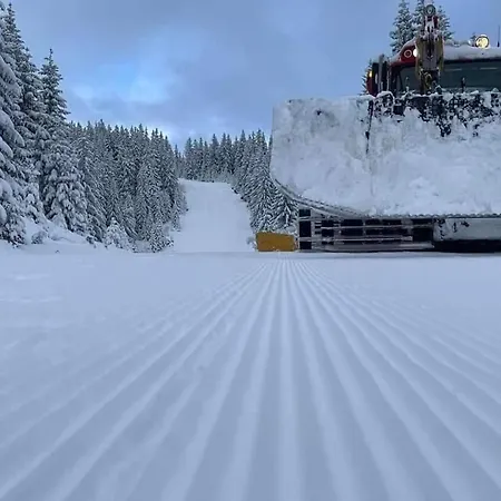 דירה Teddy12-vlasic