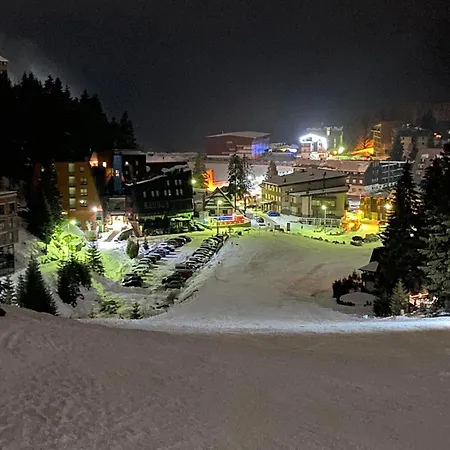 Daire Teddy12-vlasic