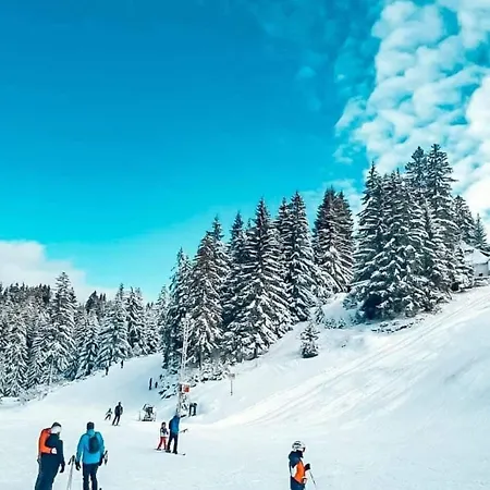 דירה Teddy12-vlasic