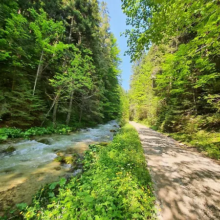 דירה Teddy12-vlasic *