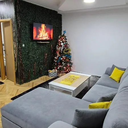 Teddy12-vlasic Vlasic